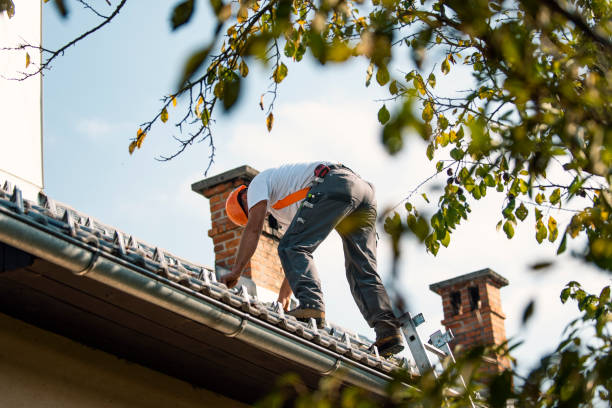 Best Roof Waterproofing Services  in Strum, WI