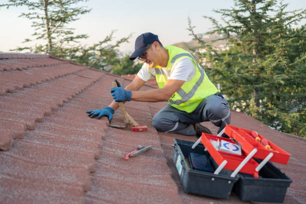 Best Roof Gutter Cleaning  in Strum, WI